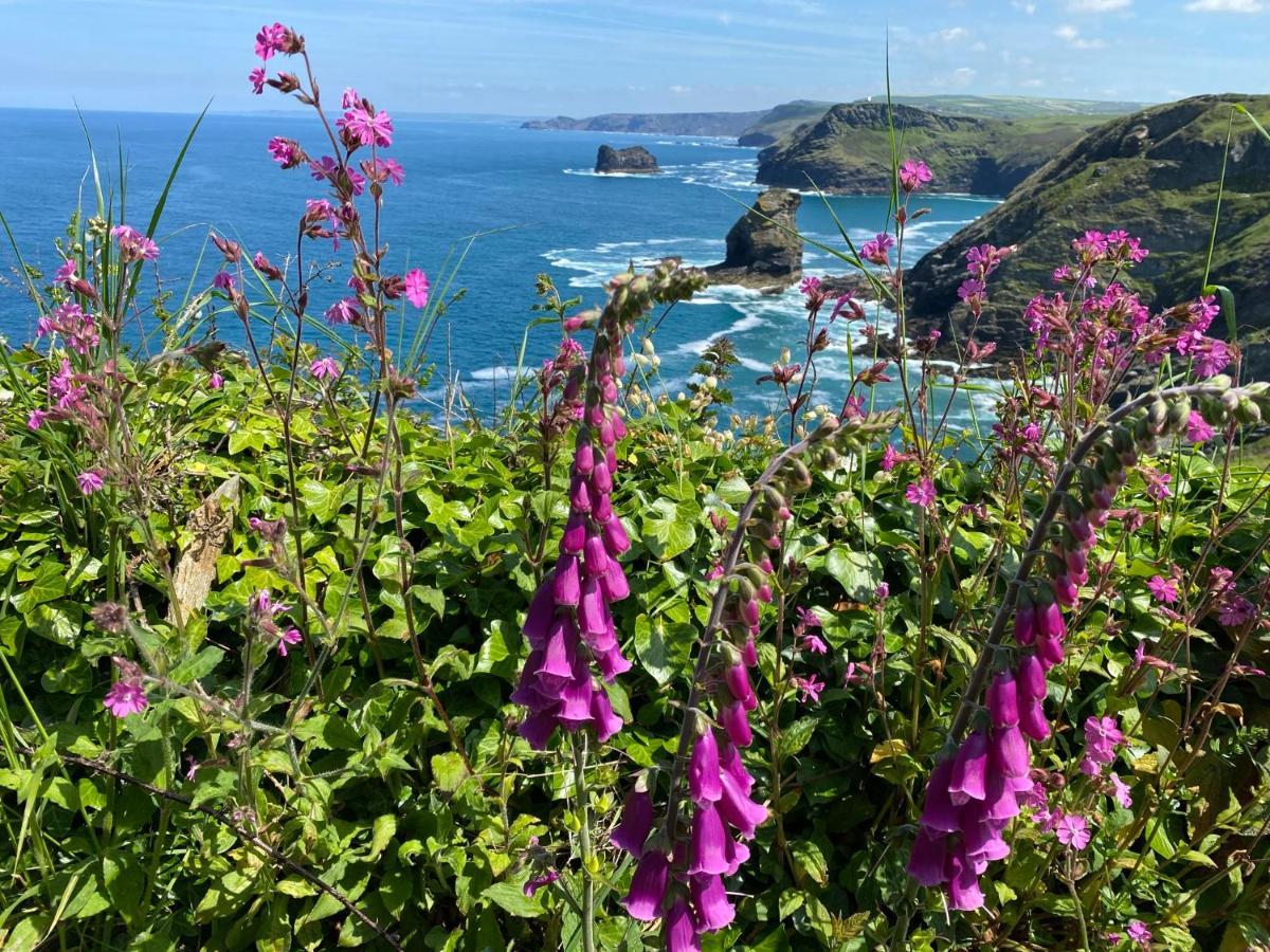 Polrunny Farm Sloe Cottage With A Sea View Boscastle Exterior foto